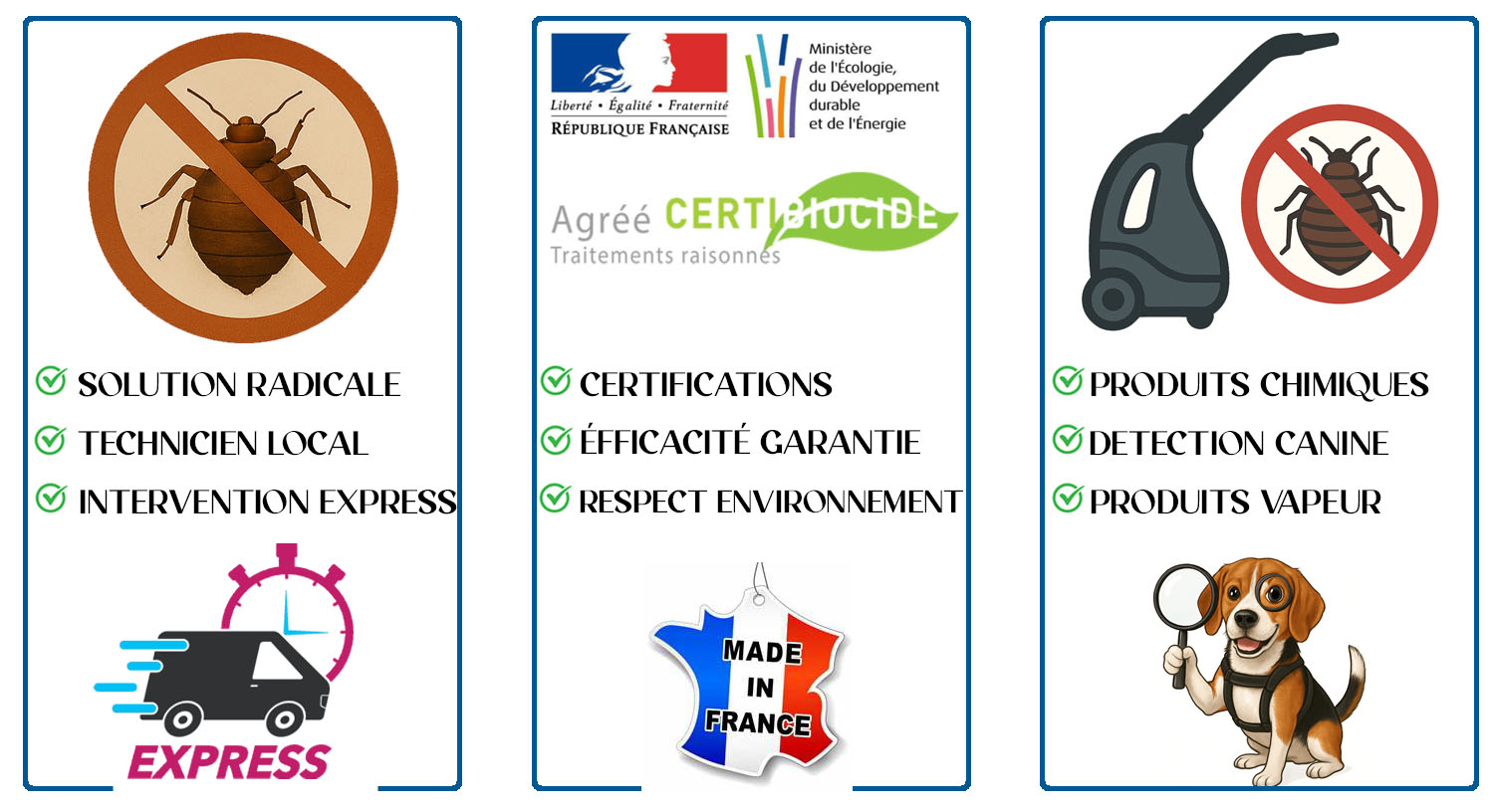 Punaises de Lit Soisy Sous Montmorency